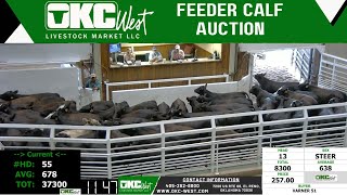 9182024  OKC West Feeder Calf Auction [upl. by Eirroc958]