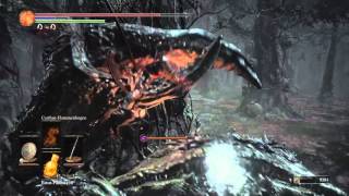 Dark Souls 3  Wappenring Lauernder Drache  Location  PS4 [upl. by Aihtenak]