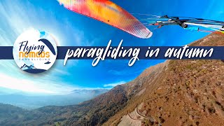 Paragliding in Autumn Changes My Life  BGD Base2  Woody Valley GTO light 2  insta360 [upl. by Dirtsa277]