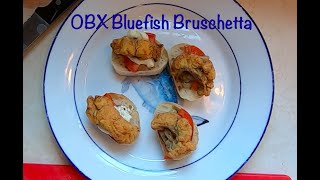 How to cook Blue Fish  OBX Bluefish Bruschetta straight from the surf [upl. by Ettari477]