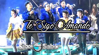 SABOR SABOR  TE SIGO AMANDO en VIVO [upl. by Nevad923]