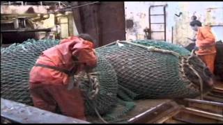 Fishing Gear PART 6  Shrimp Trawl [upl. by Ahsikar633]