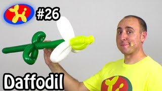 Three Balloon Daffodil Flower  Balloon Animal Lessons 26 [upl. by Rebmaed103]