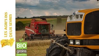 BIOGRAINS  une négoce bio en plein essor Moisson 2018 [upl. by Atcliffe812]