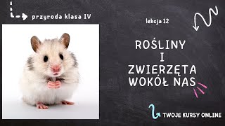 Przyroda klasa 4 Lekcja 12  Rośliny i zwierzęta wokół nas [upl. by Elmore378]