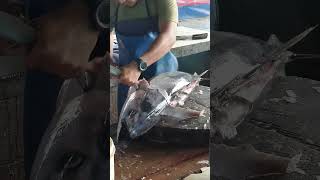 GOOD SHARP MACHETE 🔪🔥 Tuna Fish Cutting Process shorts tuna [upl. by Llertac]