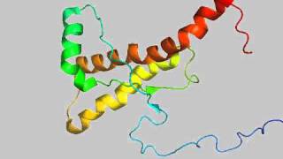 Human prion protein in 3D showing high degree of alphahelical structure [upl. by Hayott]