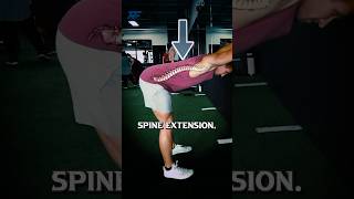 Mobility Routine for Back Pain and Sciatica [upl. by Leontina86]