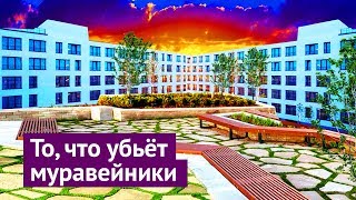 Новосибирск могут когда захотят [upl. by Phippen]