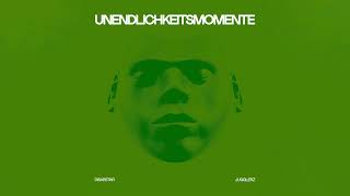 Disarstar x Jugglerz  Unendlichkeitsmomente Official Audio [upl. by Soisatsana70]