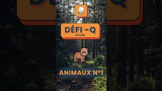 Le DéfiQ  Animaux n°1  quiz shorts [upl. by Notlit30]