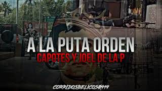 A La Puta Orden  Capotes Ft Joel De La P Estudio Corridos 2023 [upl. by Vitus]