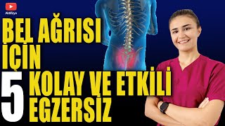 BEL AĞRISI İÇİN 5 KOLAY EGZERSİZ Bel fıtığı Bel düzleşmesi için [upl. by Idolla]