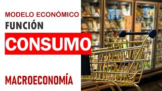 Macroeconomía función de consumo [upl. by Anizor]