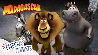 Finding a Way Home 🎪  Madagascar  Extended Preview  Mega Moments [upl. by Eah]