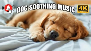 3 and a Half Hours of Calming Music for Dogs🎵Separation Anxiety Music🐶Music Dog Music Therapy 5 [upl. by Rudyard]