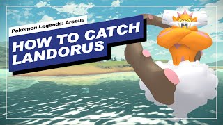 How to Get Landorus in Pokemon Legends Arceus [upl. by Harberd250]