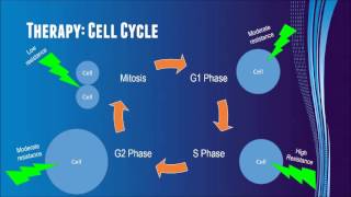 CSU Student Theranostics Video Part 2 [upl. by Ingham]