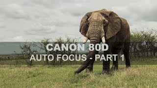 Canon 80D  Auto Focus  Part 1 [upl. by Eitsim]