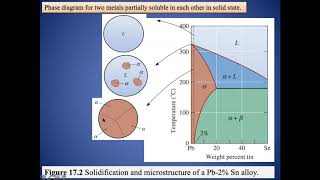 Two metals partially soluble in each other in solid state 1 [upl. by Drofwarc]