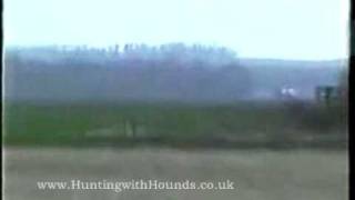 Kippers Bitch Vs The Captain  Pre Ban Hare Coursing [upl. by Campagna]