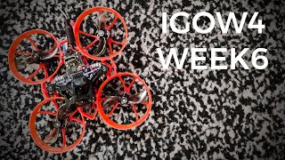 IGOW4  Week6  RCKY [upl. by Rochkind]