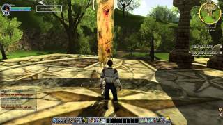 Lord of the Rings Online  Combat Skills and Questing [upl. by Adianez]