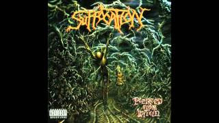 Suffocation  Depths of Depravity HQ [upl. by Gawlas]