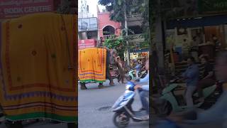 Haathi mere Saathi elephant elephantvideo sanwargadri tamil [upl. by Steward]