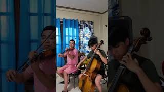 Can You Feel The Love Tonight violin amp cello cover [upl. by Langille905]