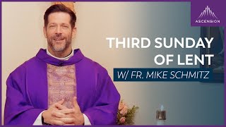 Third Sunday of Lent  Mass with Fr Mike Schmitz [upl. by Mathur]