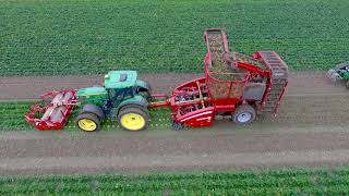 GRIMME  ROOTSTER 604 MAXTRON 620 CleanLoader in celeriac [upl. by Atekan]