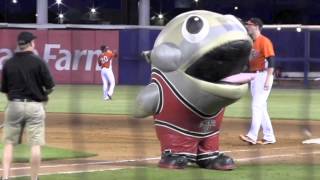 Zooperstars Mackeral Jordan at the Norfolk Tides [upl. by Ansela818]