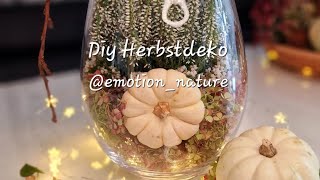 Diy Herbstdeko decor dekorieren diy vase decoration herbstdeko [upl. by Necaj]