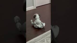 Yankee Doodle Dandy Dance Sony Aibo aibo SonyAibo [upl. by Aisinut]