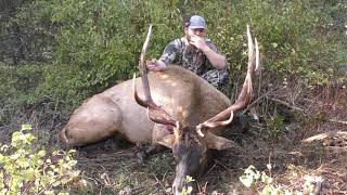 BUGLING BULL ELK AT 5 YARDS  Washington 2019 Muzzleloader Hunt [upl. by Rowen]