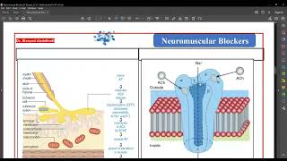 Neuromuscular blocking Drugs By Dr Elsayed Abdelhad 2023 [upl. by Ilbert864]