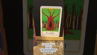 Collective Message All Signs Fertility Timeless tarot fyp tarotreading reynabiddy [upl. by Norvell]