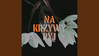 Na Krzywy Ryj Radio Edit [upl. by Anillek]