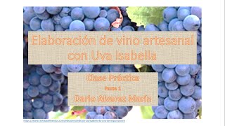 Elaboración de vino artesanal con Uva Isabella Práctico [upl. by Nytsirhc]