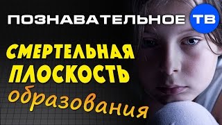 Смертельная плоскость образования Познавательное ТВ Владимир Базарный [upl. by Aisile]