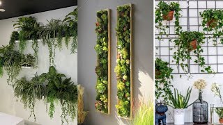 100 Beautiful Wall Hanging Plants Ideas Indoor Plants decor Trends decor [upl. by Sarson]