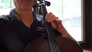 Chromatic scale starting on D cello [upl. by Bolt366]