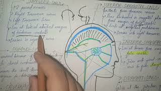 Dural Venous Sinuses Part 2 [upl. by Lorianna]