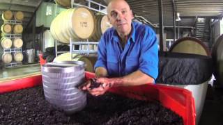 LOWE WINE  The art of slow wine making1 [upl. by Anilat]