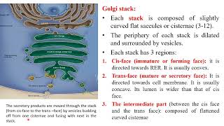 Golgi apparatus new [upl. by Hasina]