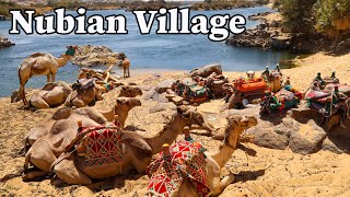 Nubian Village Tour in Aswan Egypt [upl. by Flessel429]