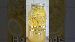 Elderflower Syrup Recipe for Beginners [upl. by Odie]