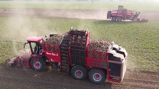 JMG Agro  Vyorávanie Cukrovej Repy 2× Holmer Terra Dos T440 T540 [upl. by Ahseenyt753]