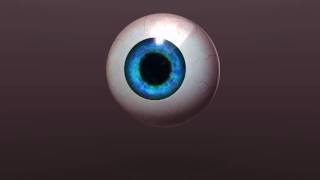 Eyeball Animation  Blender 3D [upl. by Vorster]